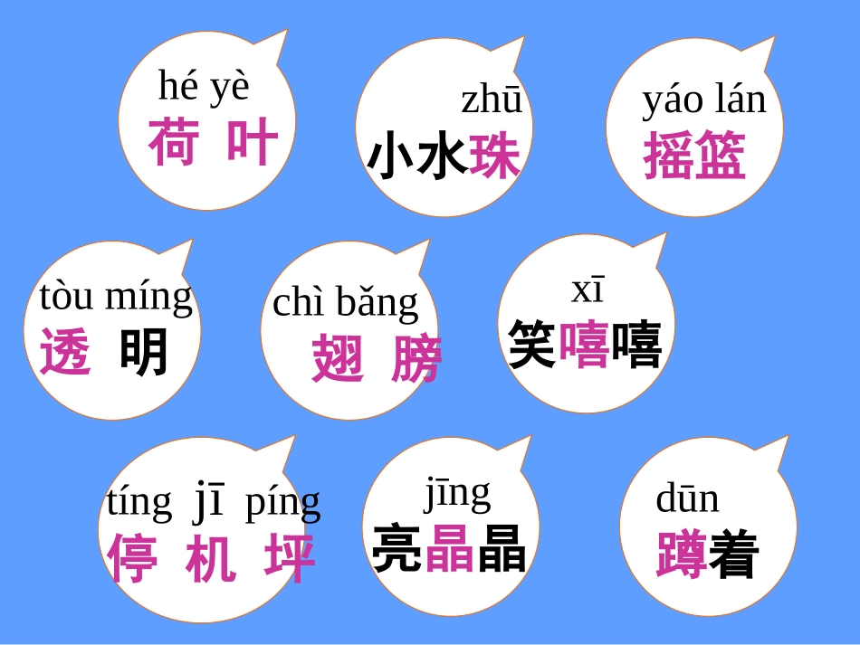 荷叶圆圆-我的课件_第3页