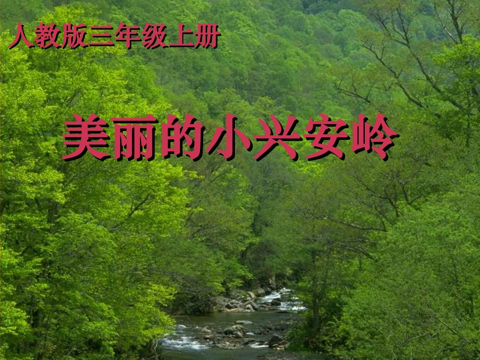 美丽的小兴安岭 (7)_第1页