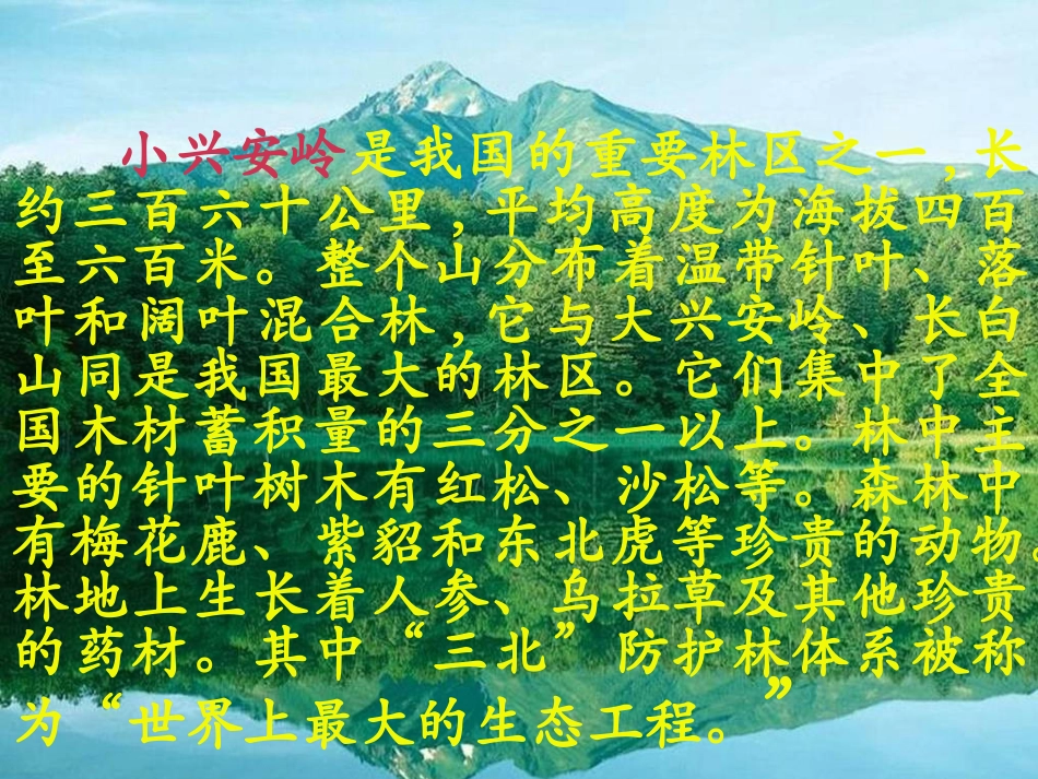 美丽的小兴安岭 (7)_第3页