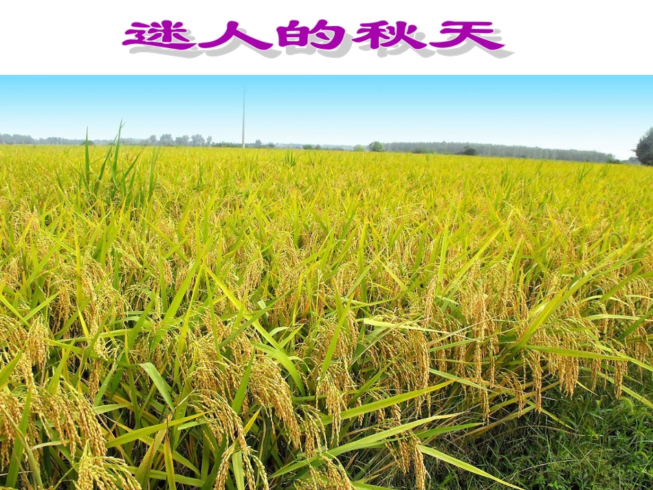 三年级秋天习作指导_第3页