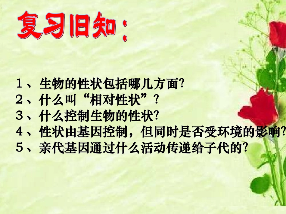 基因在亲子代间的传递_第1页