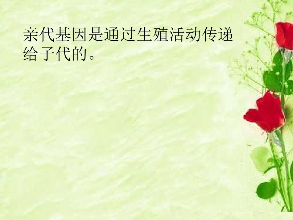 基因在亲子代间的传递_第2页