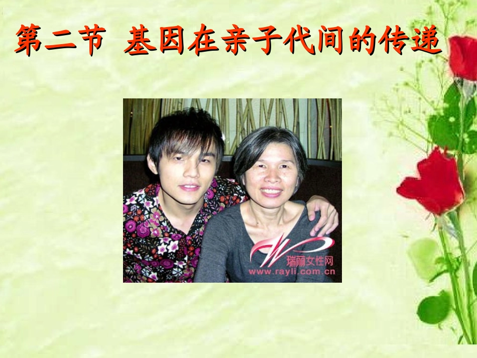 基因在亲子代间的传递_第3页