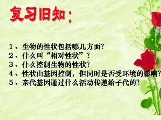 基因在亲子代间的传递