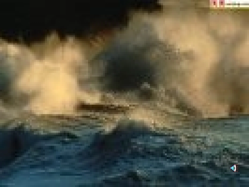 《海燕》 (2)_第2页