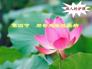 肺部感染性疾病 护理措施