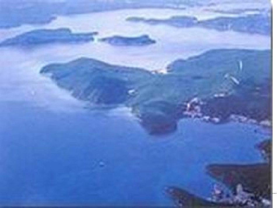 地下森林的断想_第3页