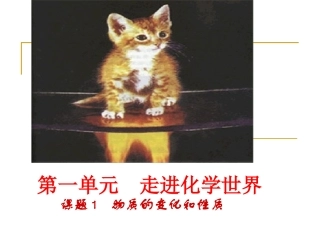 物质的变化和性质1