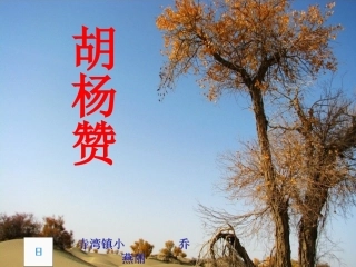 《胡杨赞》课件_(1)