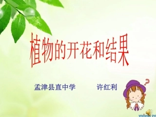 许红利植物的开花与结果