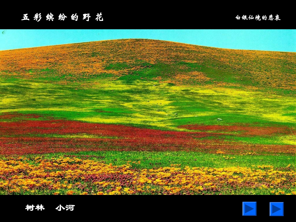 白银仙境的悲哀_第3页