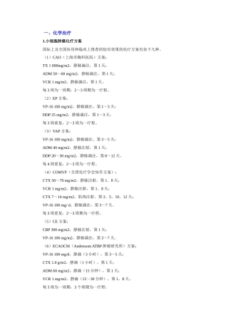 肺癌化学疗法