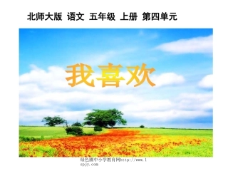 北师大版五年级语文上册《我喜欢》优秀课件