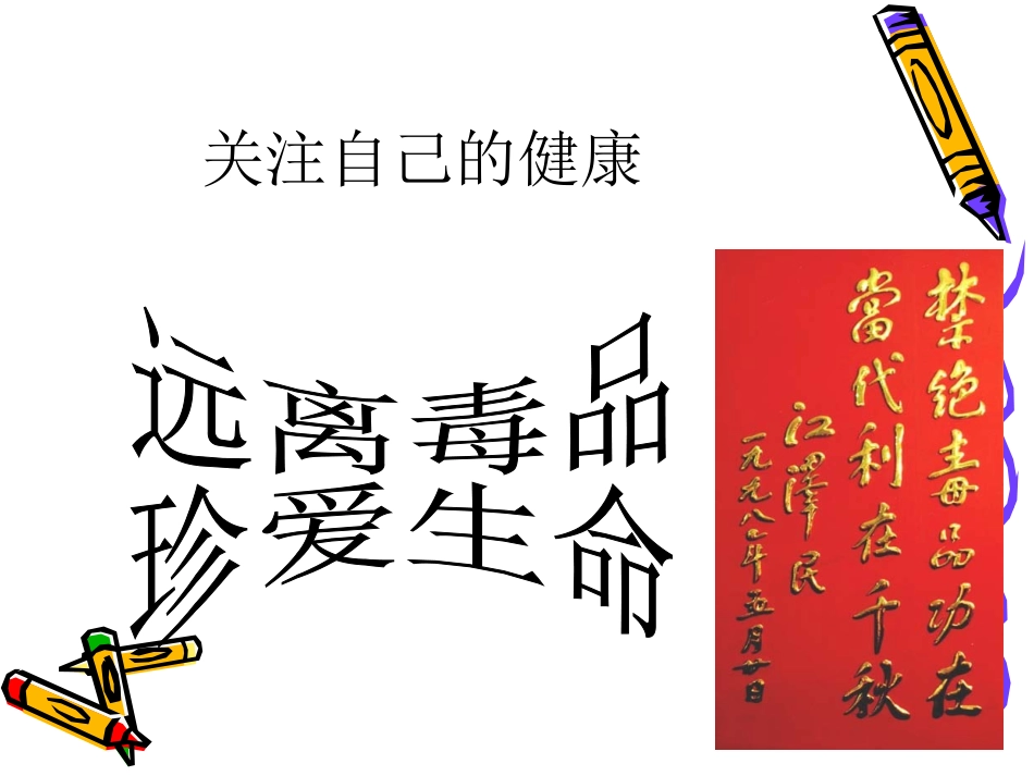 主题班会《远离毒品_珍爱生命》PPT课件之二_2_第2页
