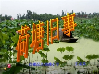 荷塘旧事123