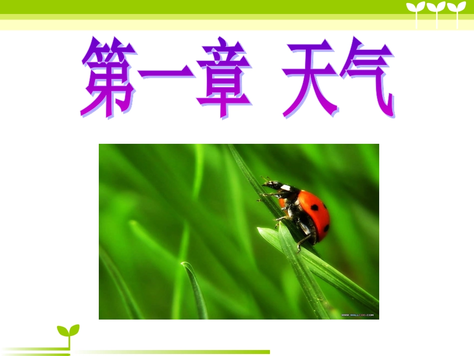 科教版小学科学四上《我们关心天气》(新) (2)_第3页