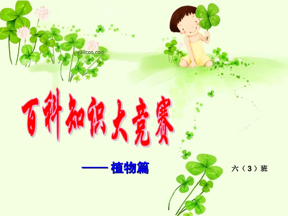 知识竞赛（植物篇）_第1页