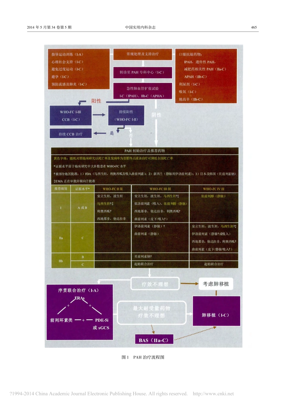 肺动脉高压治疗标准更新解读_第五届世界肺高血压大会_的观念_第3页