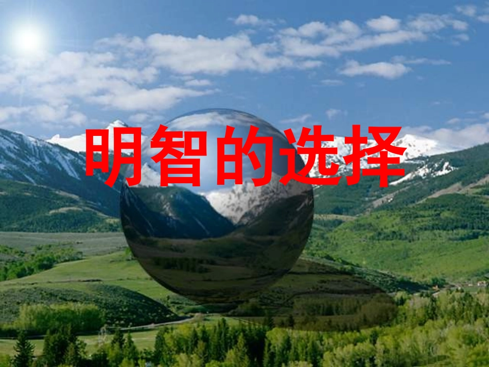 明智的选择课件_第1页