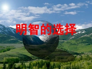 明智的选择课件