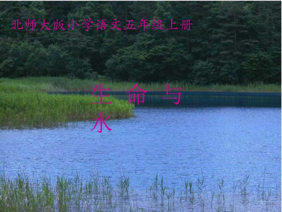 生命与水第一课时课件_第1页