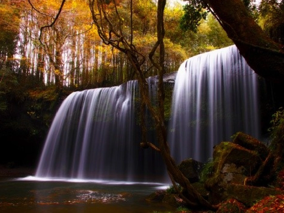 生命与水第一课时课件_第2页