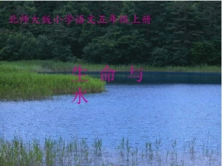 生命与水第一课时课件