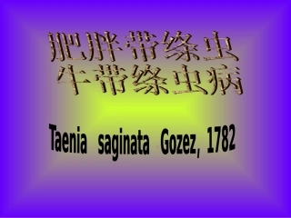 肥胖带绦虫和牛带绦虫病课件