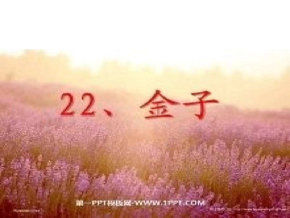 《金子》课件_第1页
