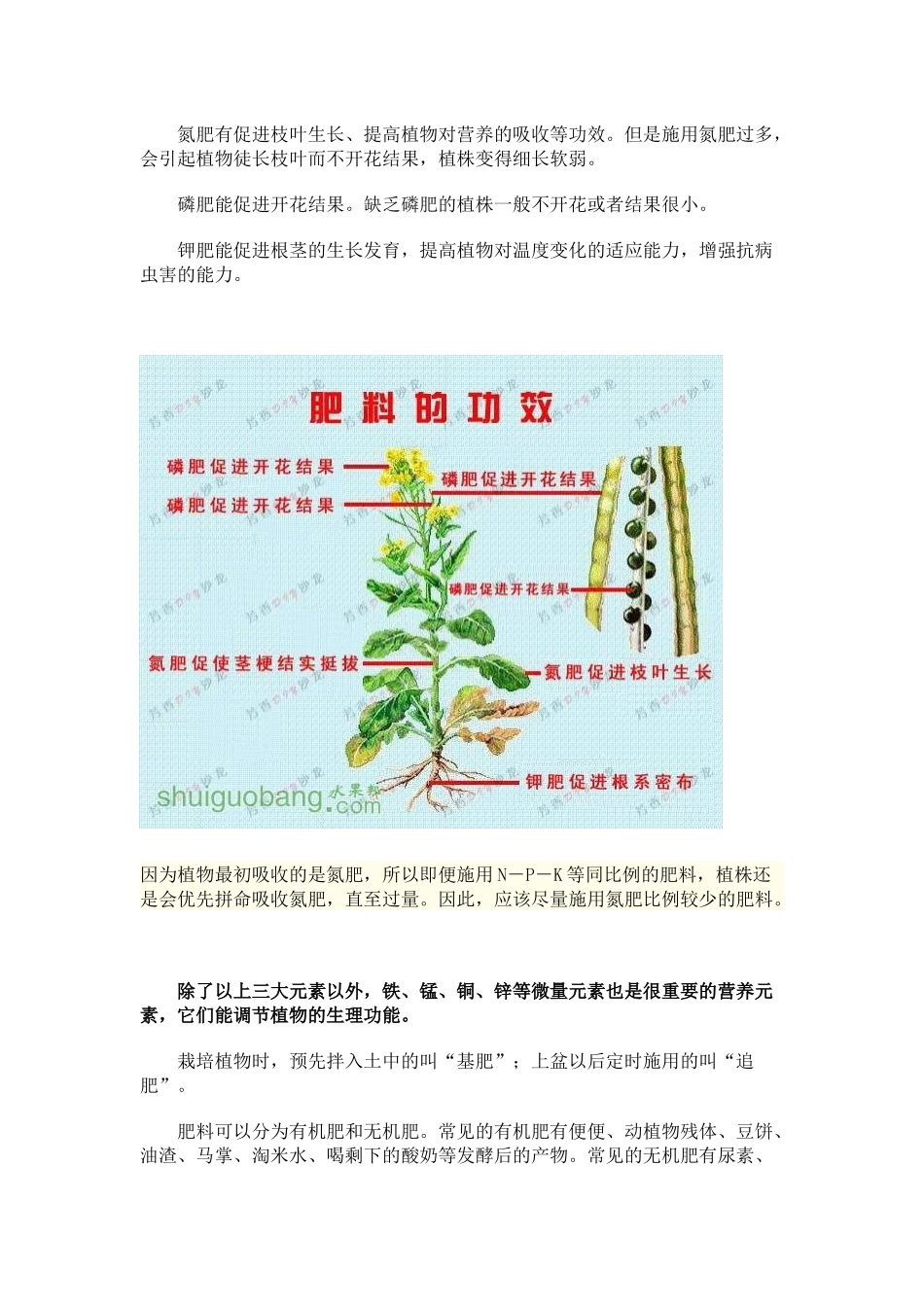 肥料 的 作 用 和 使 用_第1页