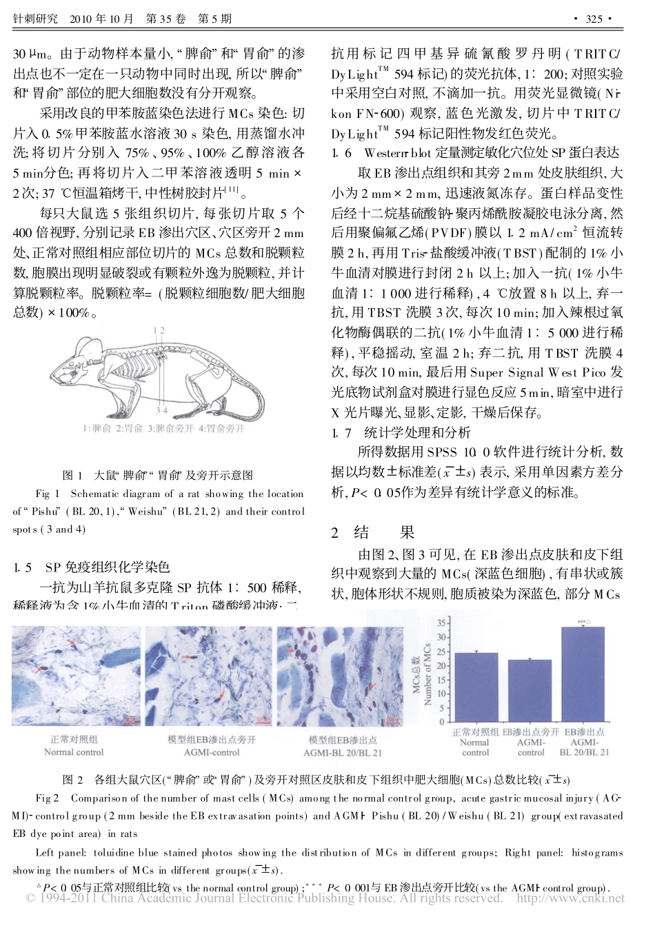 肥大细胞和P物质参与急性胃黏膜损伤大鼠体表穴位的敏化过程_第3页