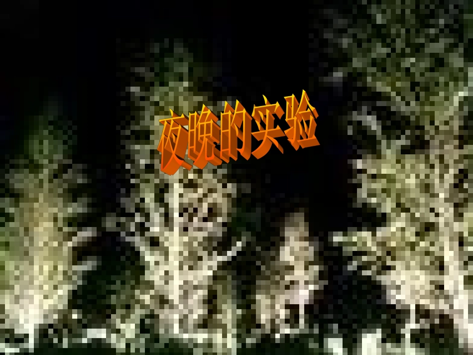 夜晚的实验课件_第1页