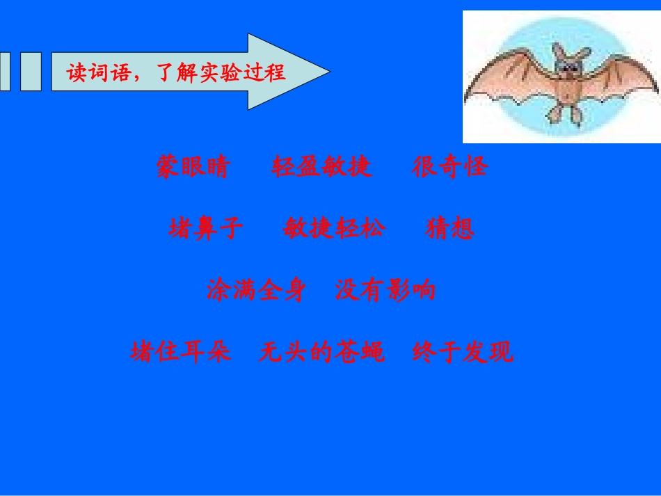 夜晚的实验课件_第2页