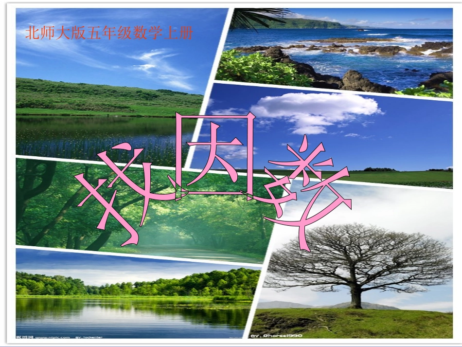 《找因数2》课件_第1页