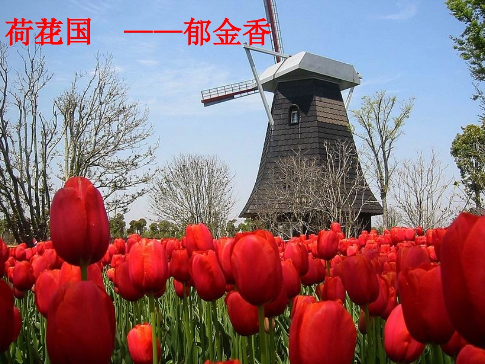 音乐课_雪绒花_第3页