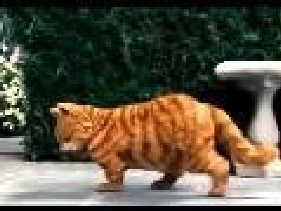 七年级教学课件_第2页