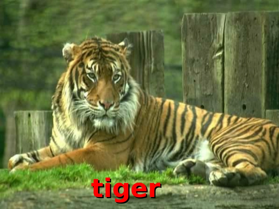 七年级教学课件_第3页