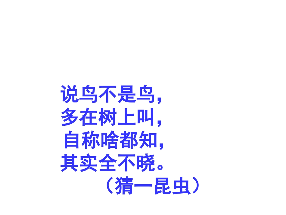 绿色蝈蝈PPT课件_第2页