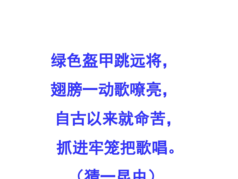 绿色蝈蝈PPT课件_第3页