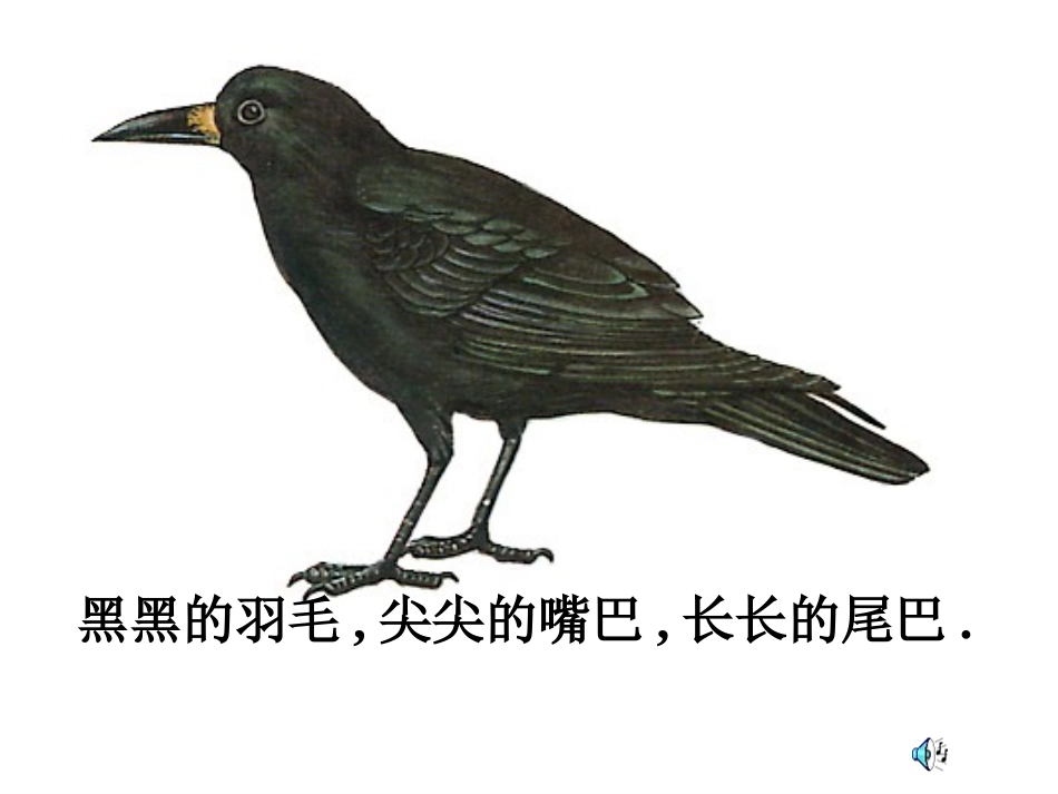 语文S版一年级上册18乌鸦喝水课件_(2)_第2页