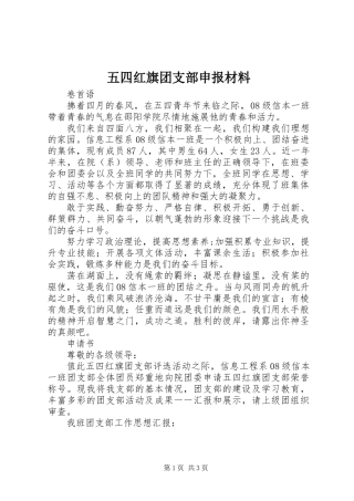 五四红旗团支部申报材料