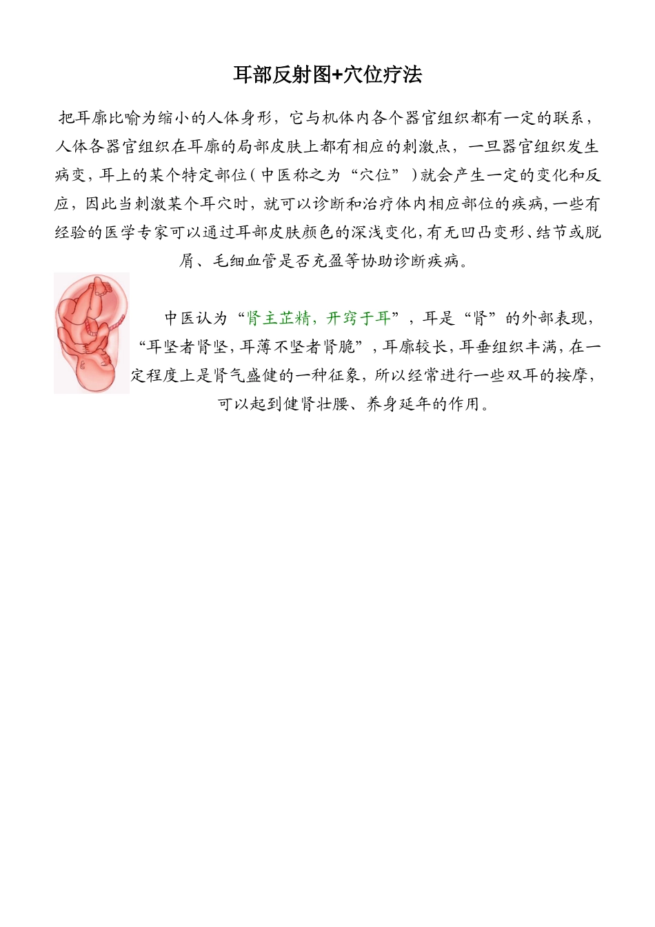 耳部穴位反射图_第1页