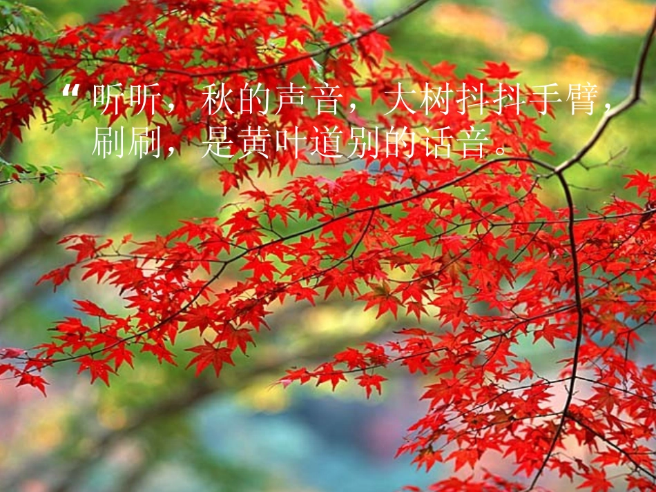 留住秋天课件_第3页