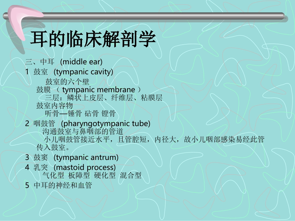 耳的临床解剖学_第2页