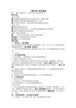 根与茎教学案例