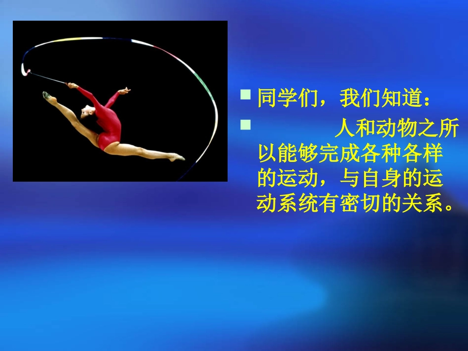 动物的运动1_第2页