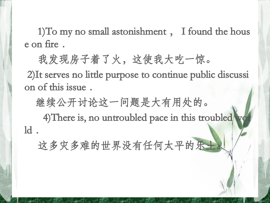 翻译实践PPT肯定否定 朱李刘余_第3页