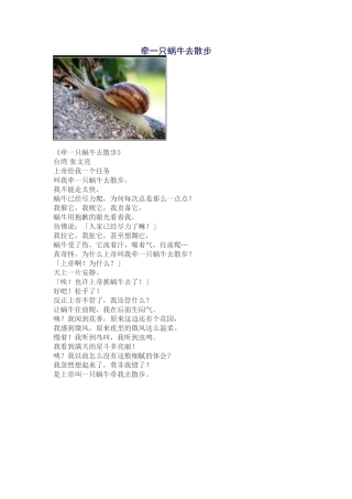 牵一只蜗牛去散步
