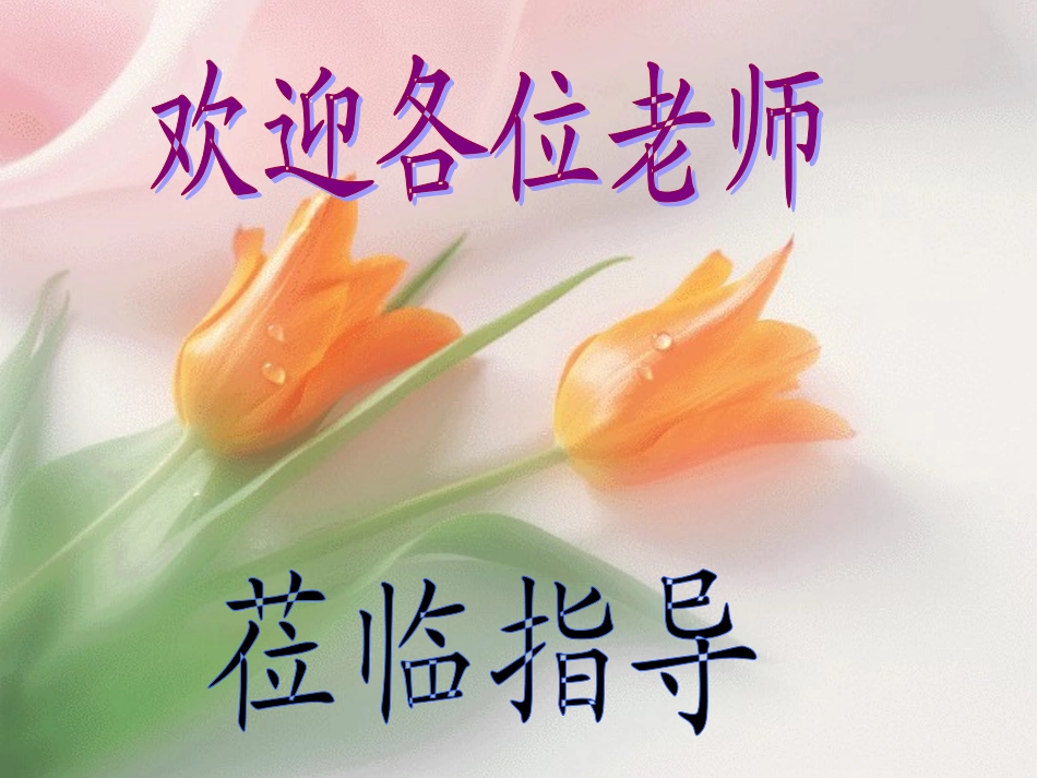 三角形面积的计算课件_第1页