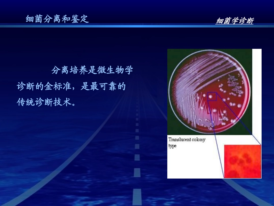 细菌的检查方法与防治原则_第3页